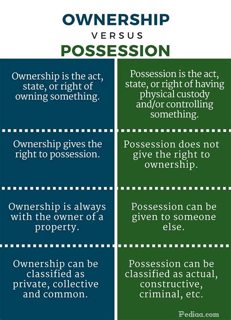 POSSESSION definition in American English .